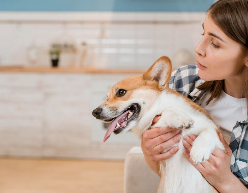 pasta-de-dinti-pentru-caini